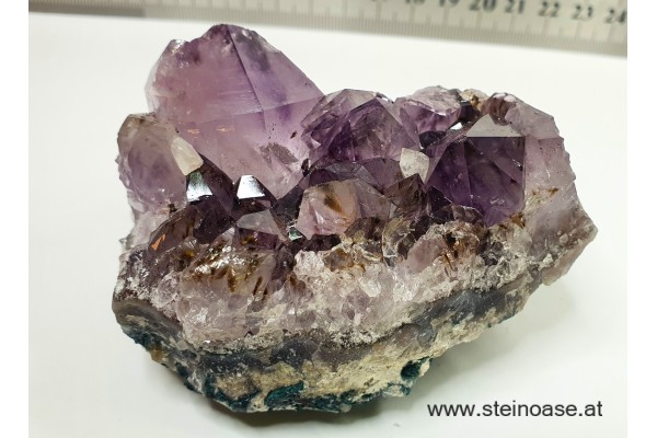 Amethyst Drusenstück 